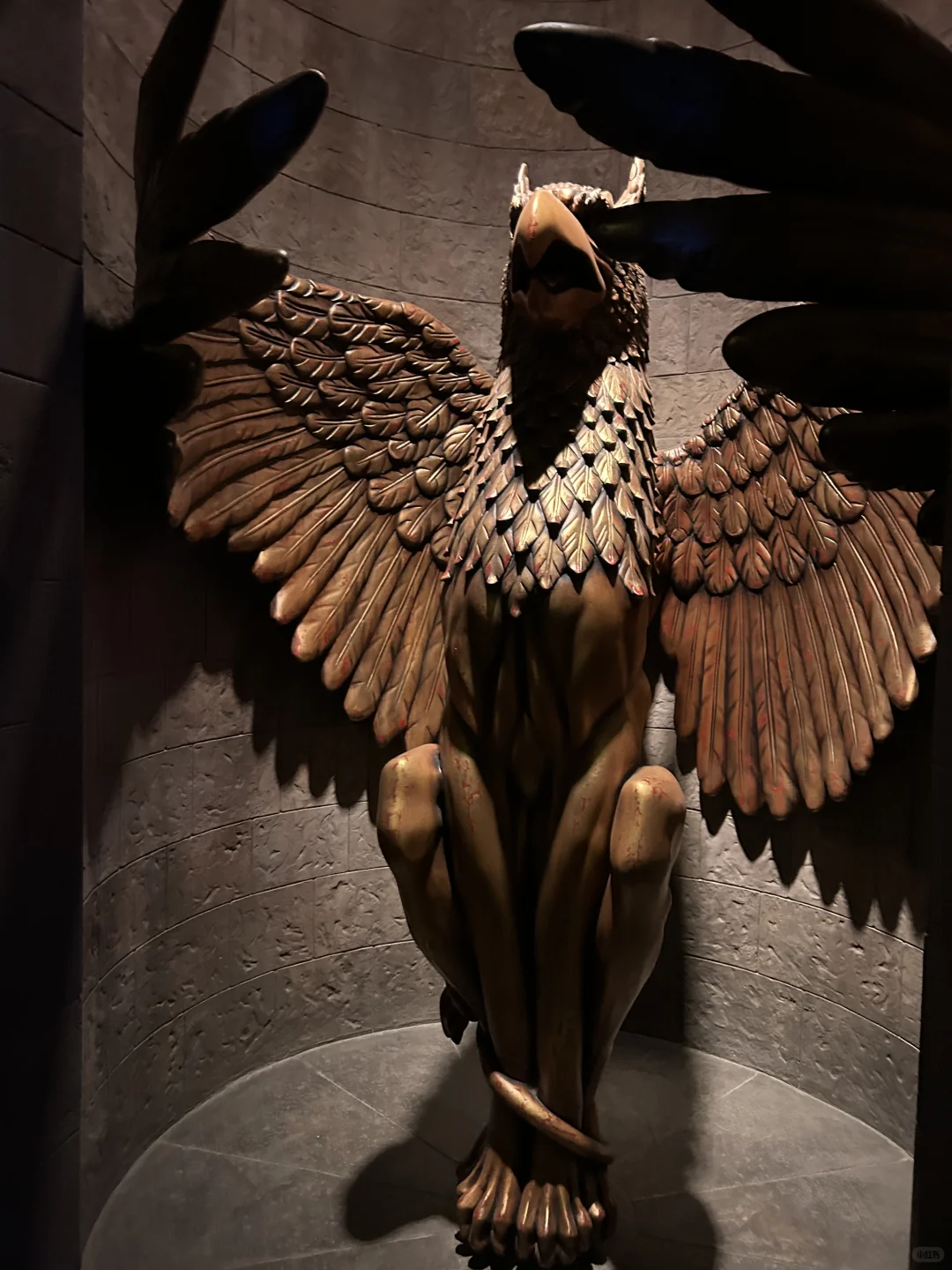 🌎 𝐔𝐧𝐢𝐯𝐞𝐫𝐬𝐚𝐥 𝐒𝐭𝐮𝐝𝐢𝐨𝐬•