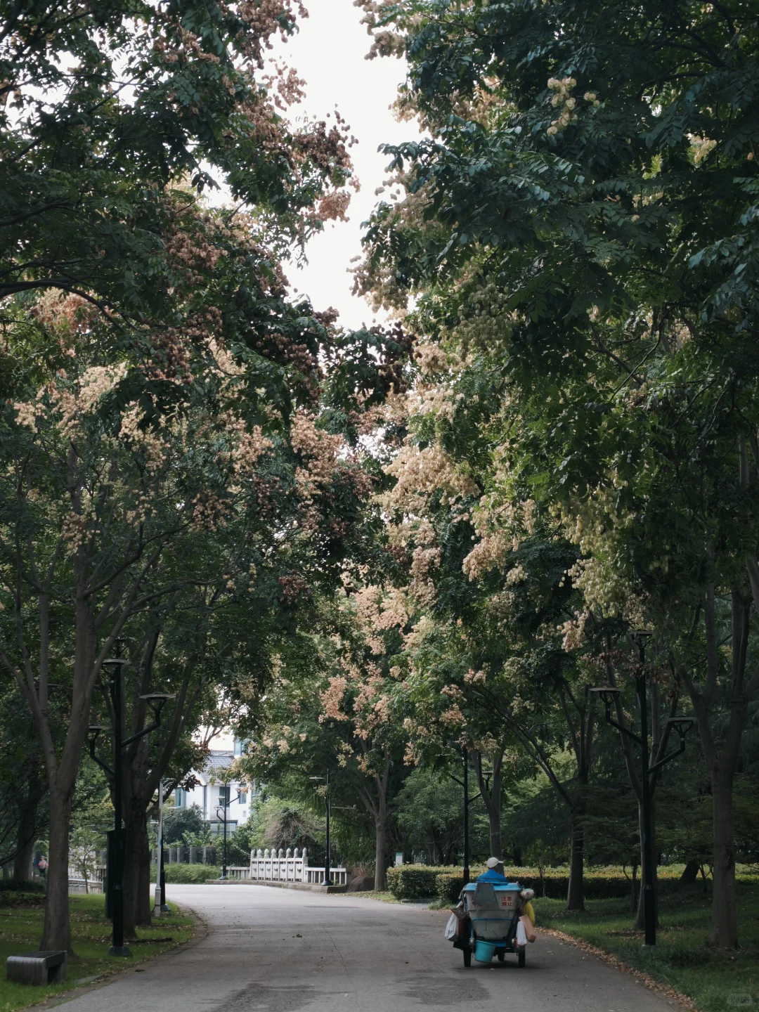 石湖真的是一个巨大的能量场