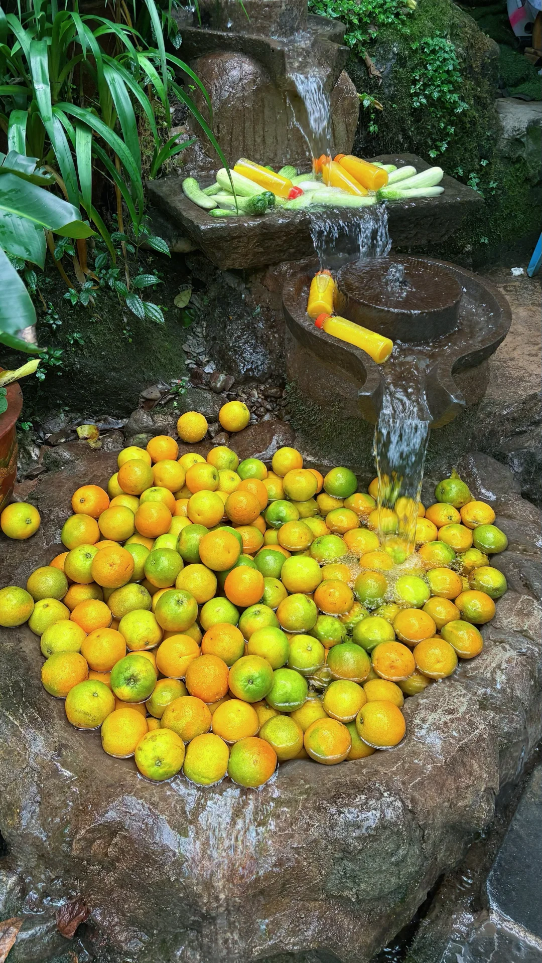 山林吸氧🍃青城后山一日徒步攻略