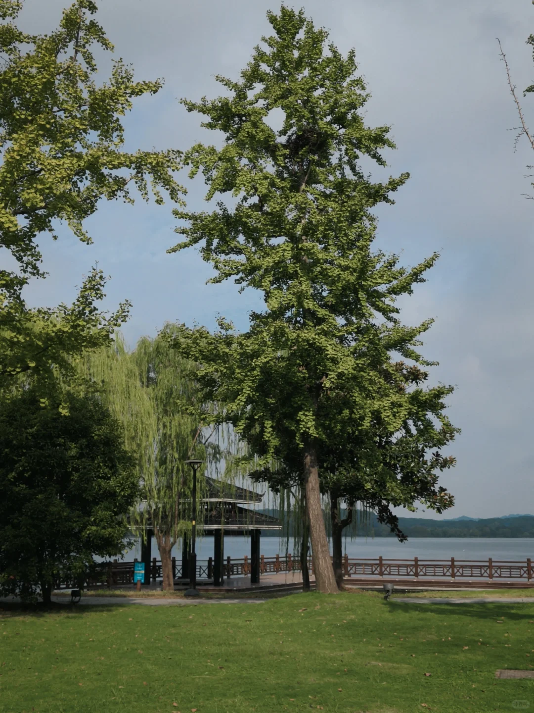 石湖真的是一个巨大的能量场