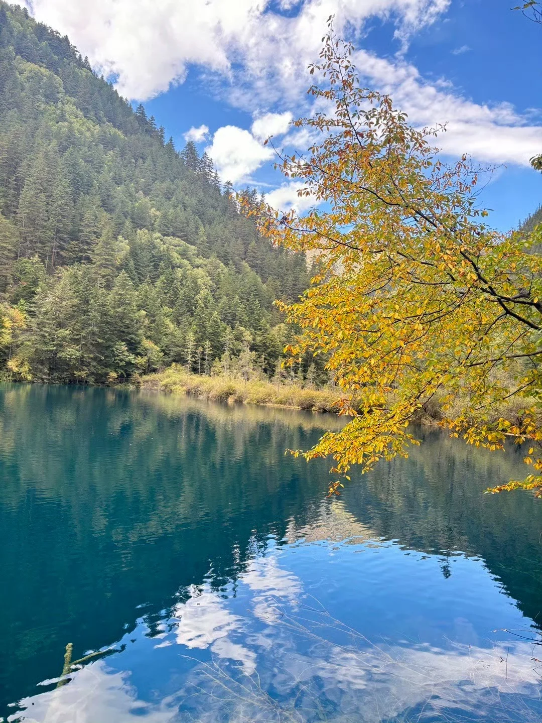 10.15📍九寨沟已遭罪，不要太离谱了。。