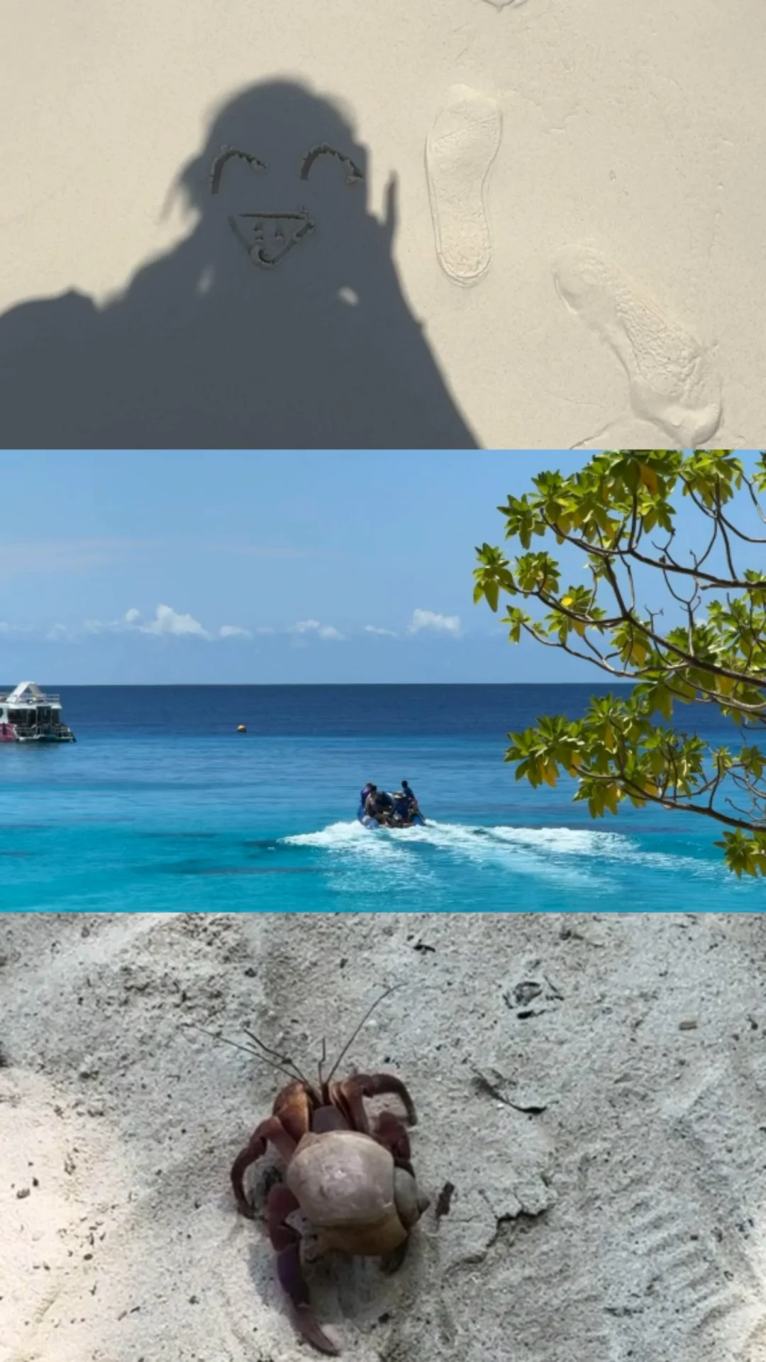 普吉一个松弛感拉满的地方🫧🐬🏝️