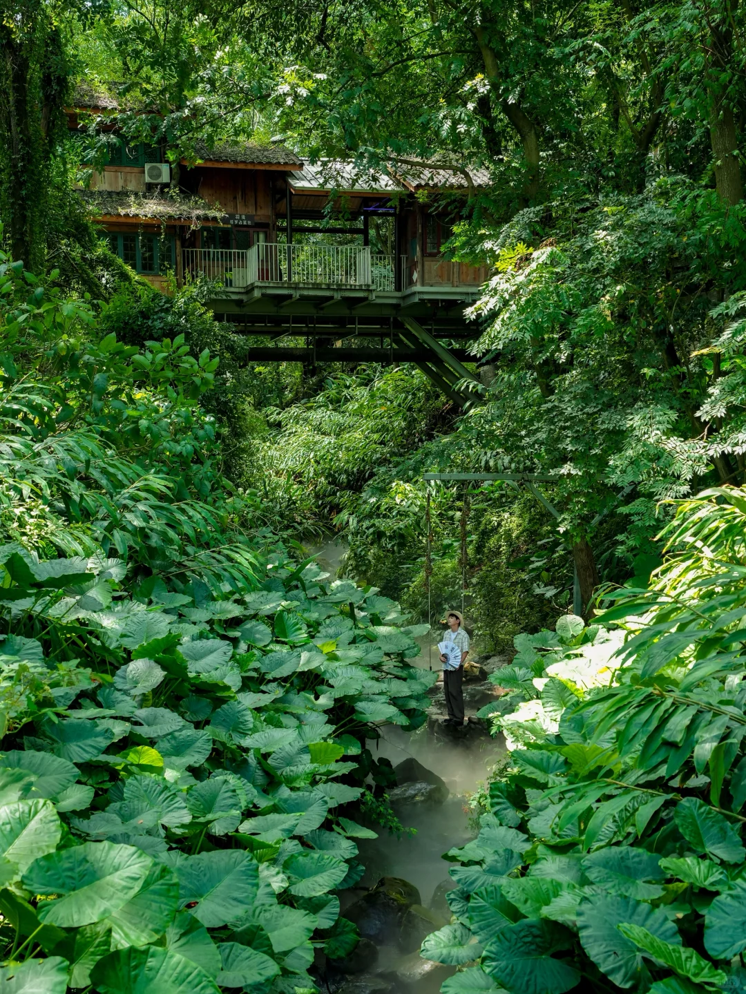 比起洪崖洞，我更推荐你来重庆这个小众古村