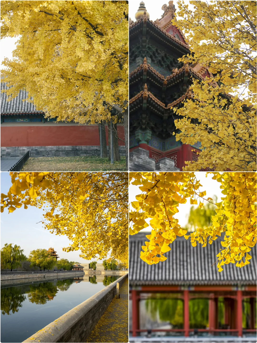 北京旅游大降温!10月姐妹听我劝,赶紧改期!