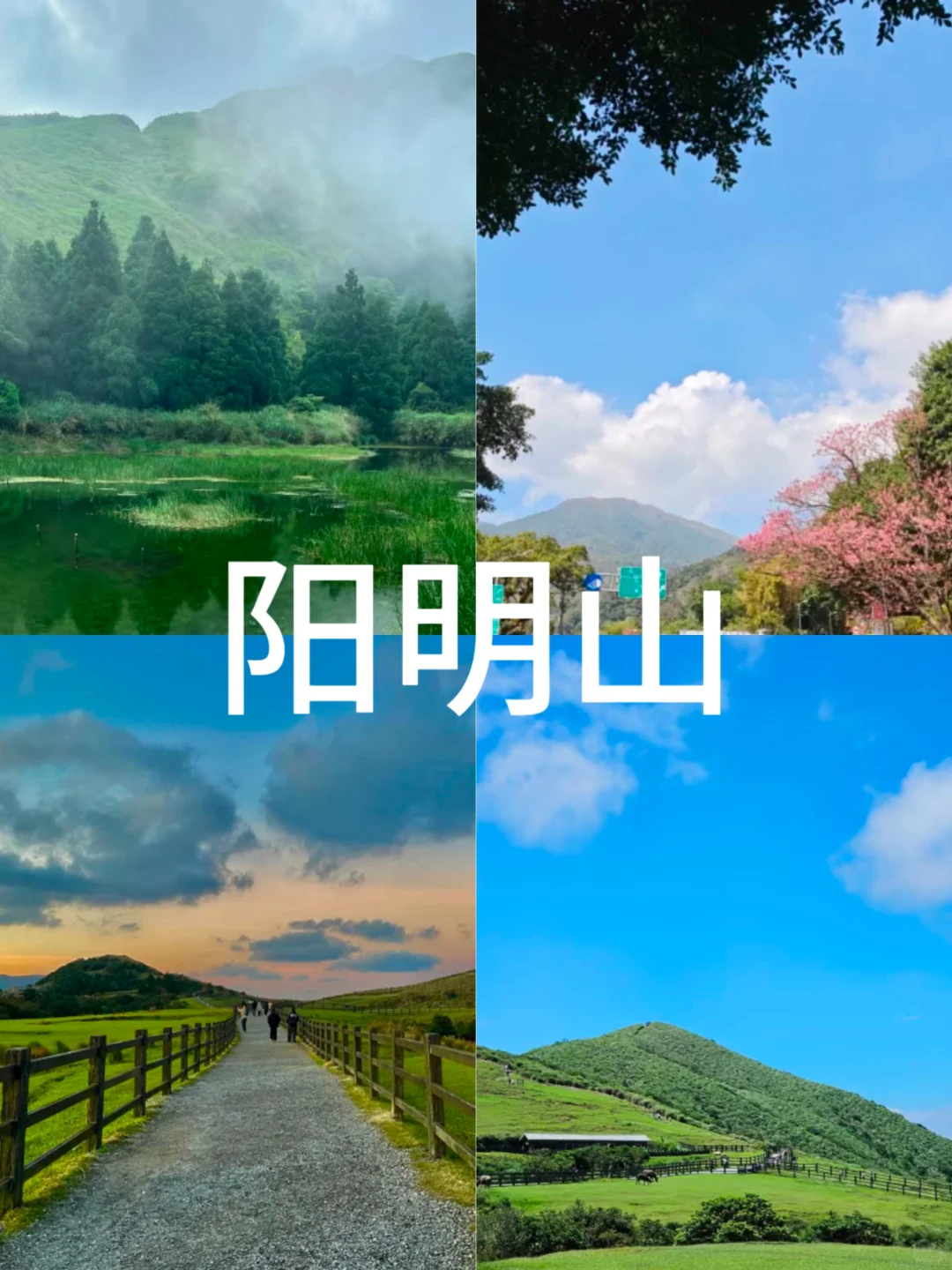 你一定要去的台湾8大打卡地❗️