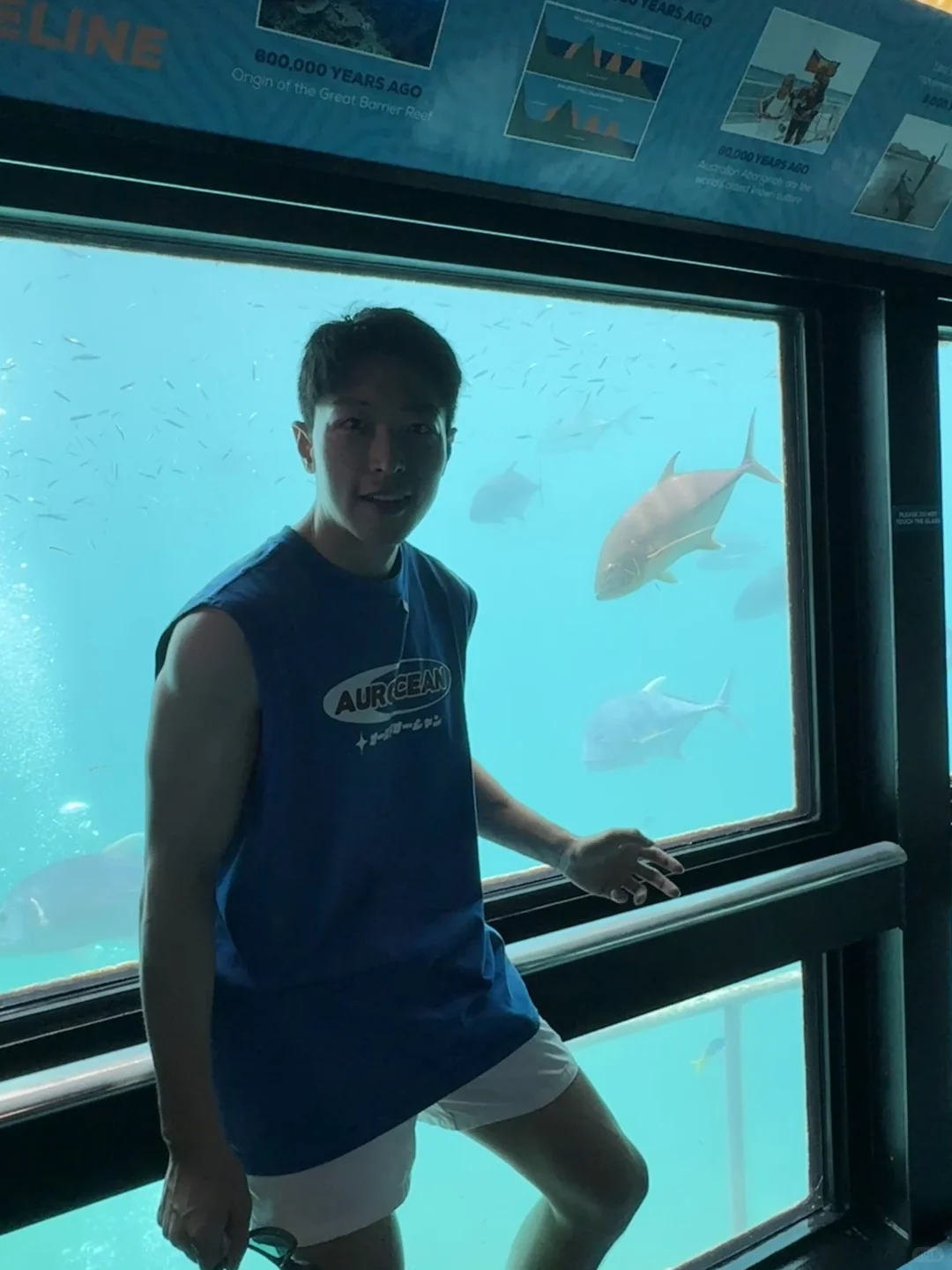 世界自然遗产大堡礁✅