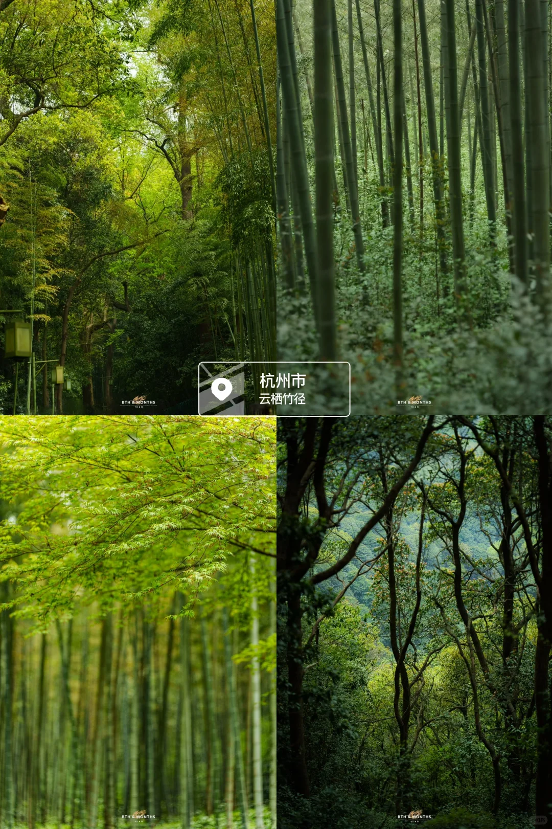 来杭州必打卡9大景点