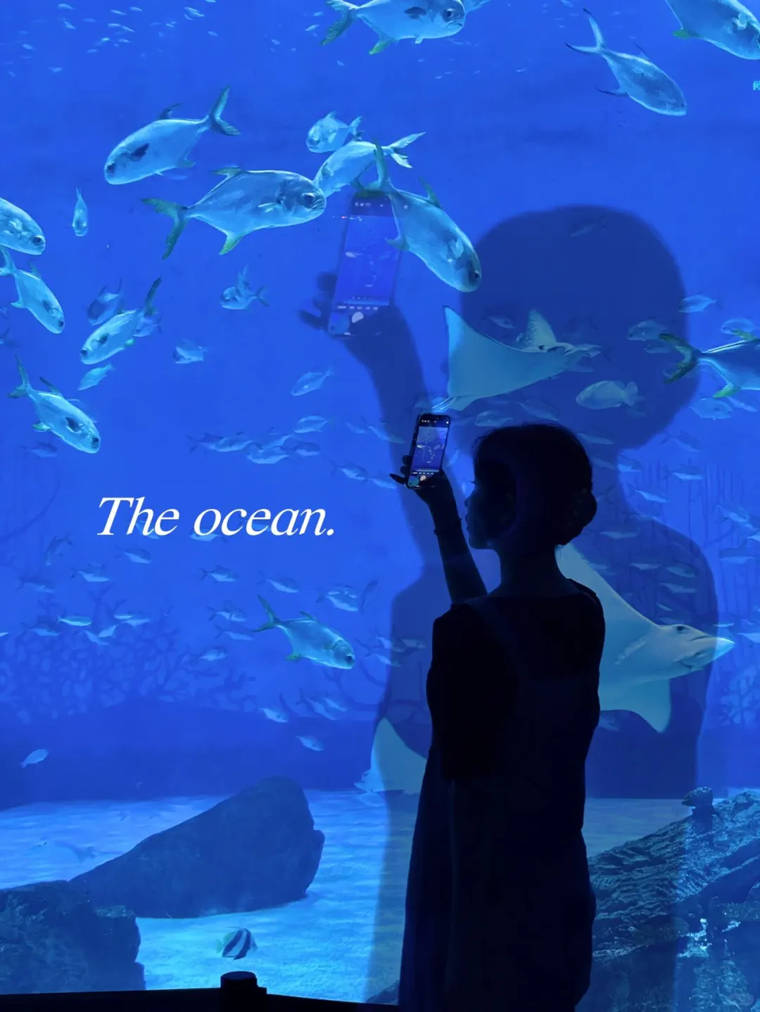 上海暴走一日游🚶🏻‍♀️打卡10个景点全攻略✅