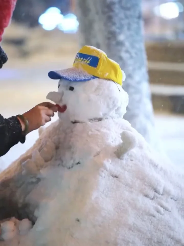 东北6天5晚保姆级攻略❄️长白山+延吉+哈尔滨