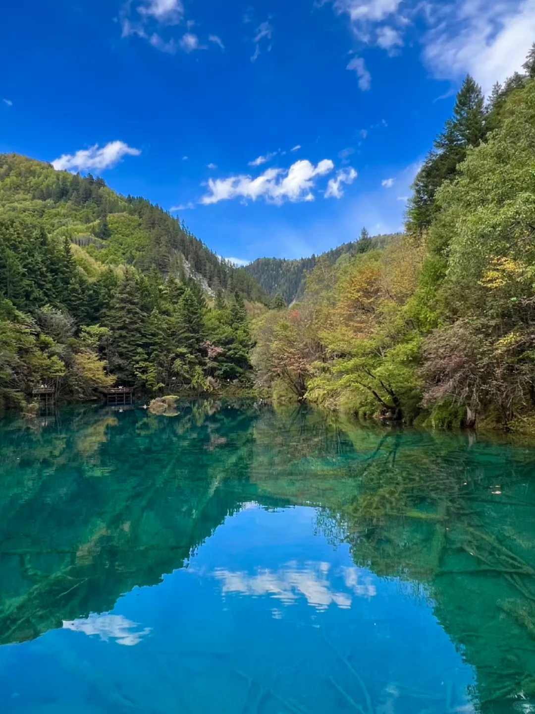 10.15📍九寨沟已遭罪，不要太离谱了。。
