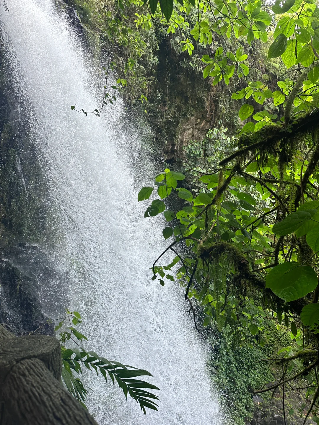 哥斯达黎加🇨🇷七天六晚攻略~