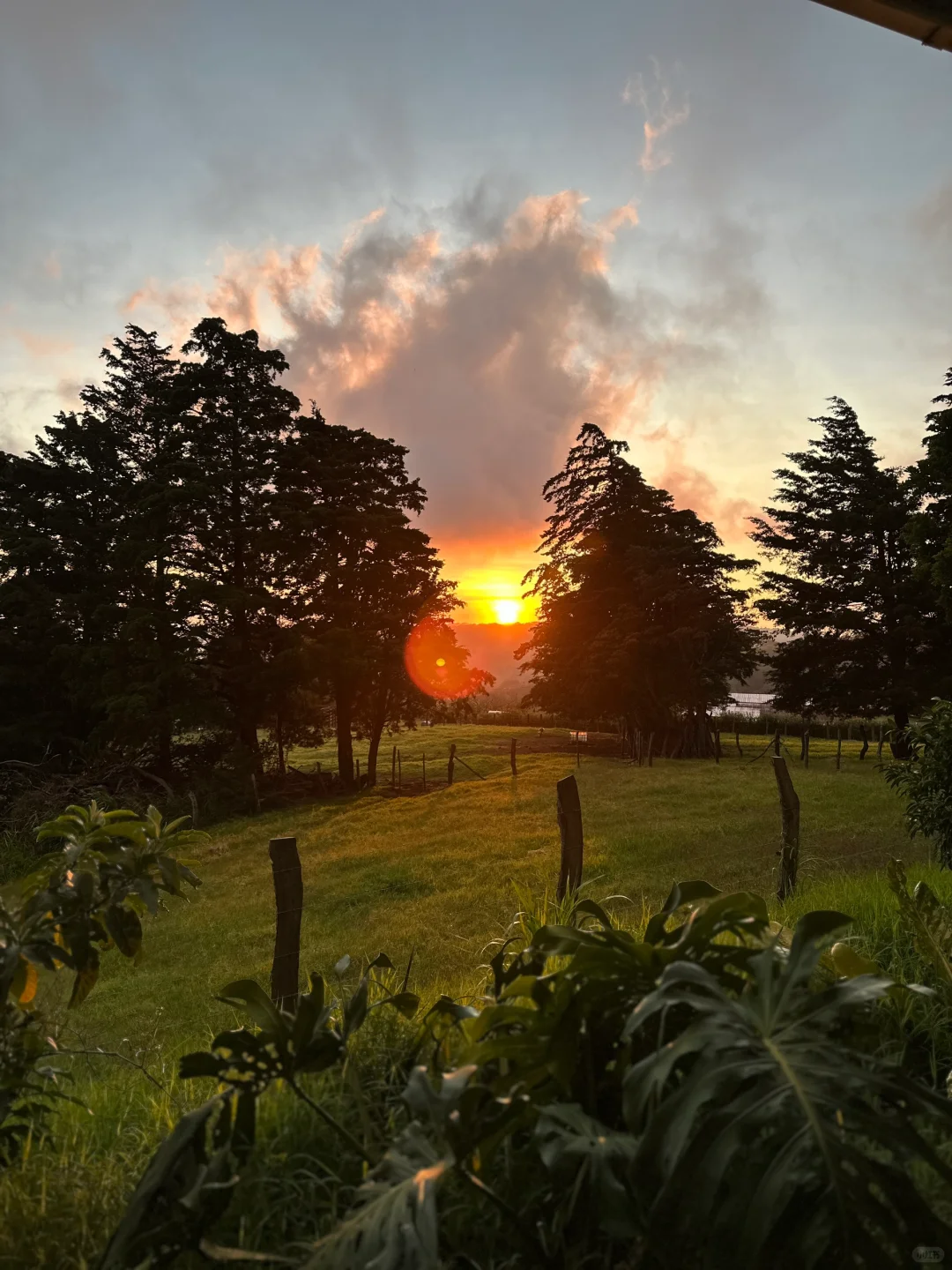 哥斯达黎加🇨🇷七天六晚攻略~