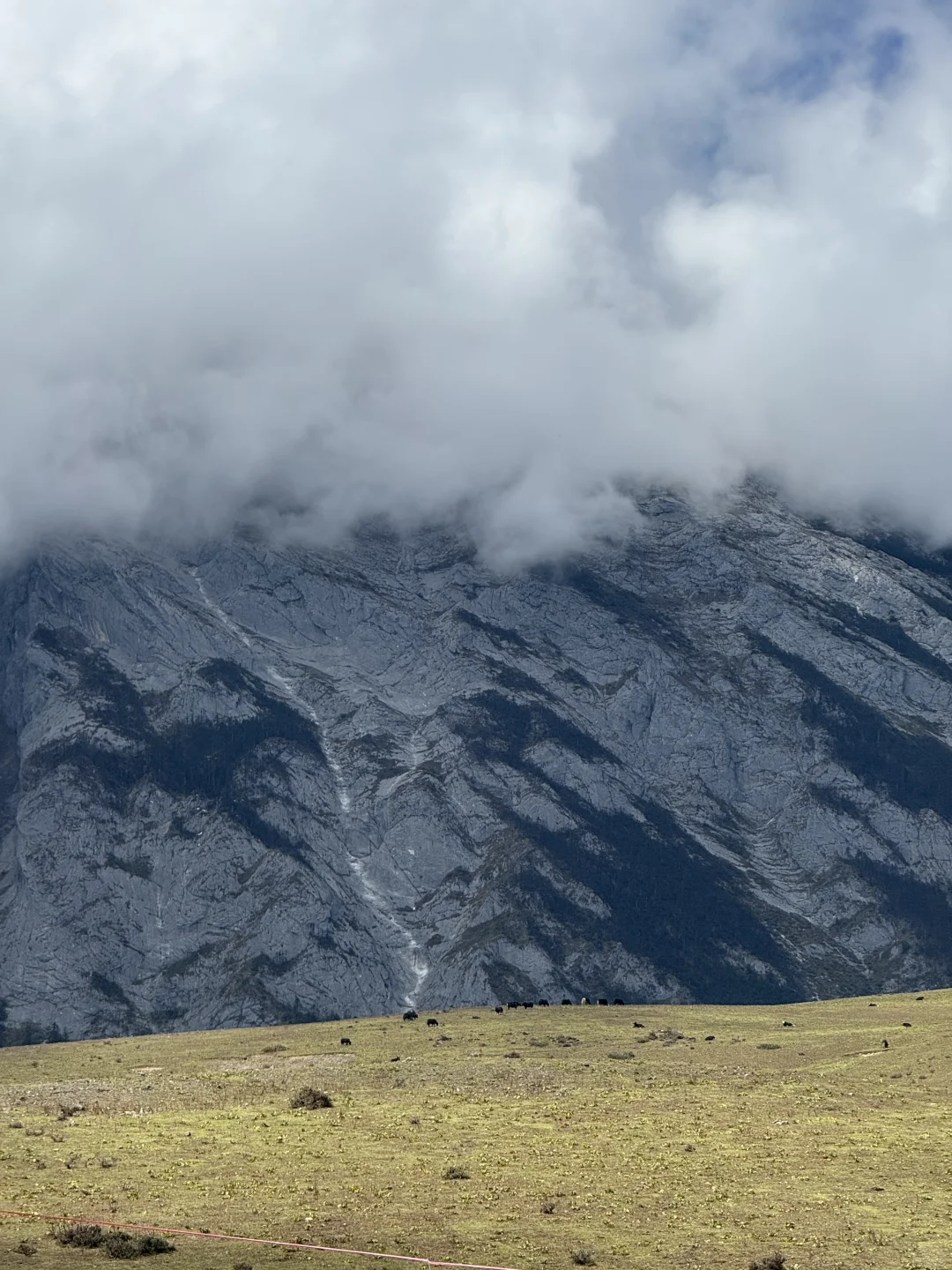 玉龙雪山去牦牛坪还是云杉坪，看这篇就够了