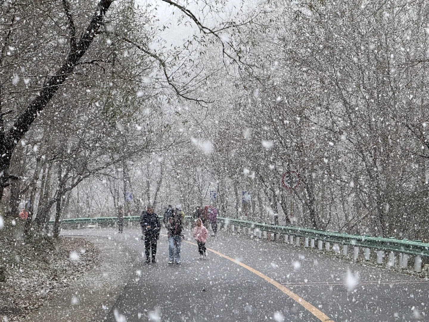 10.18 北京下雪啦❄️