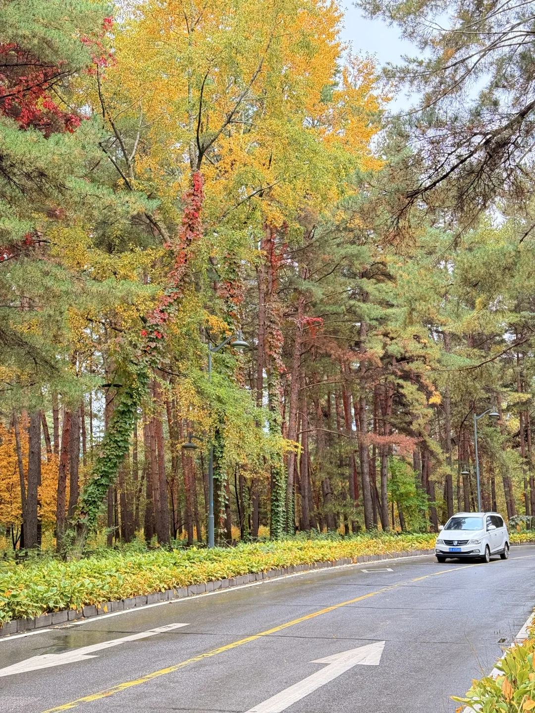 📍长白山｜二道白河 秋色正浓～