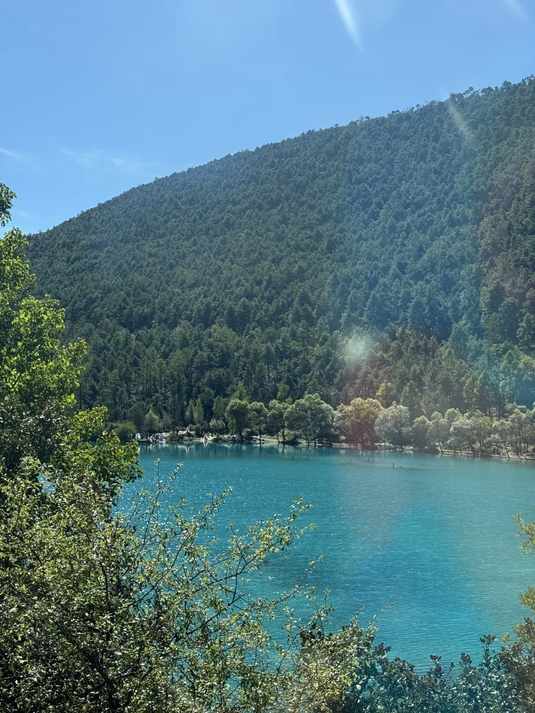 玉龙雪山去牦牛坪还是云杉坪，看这篇就够了