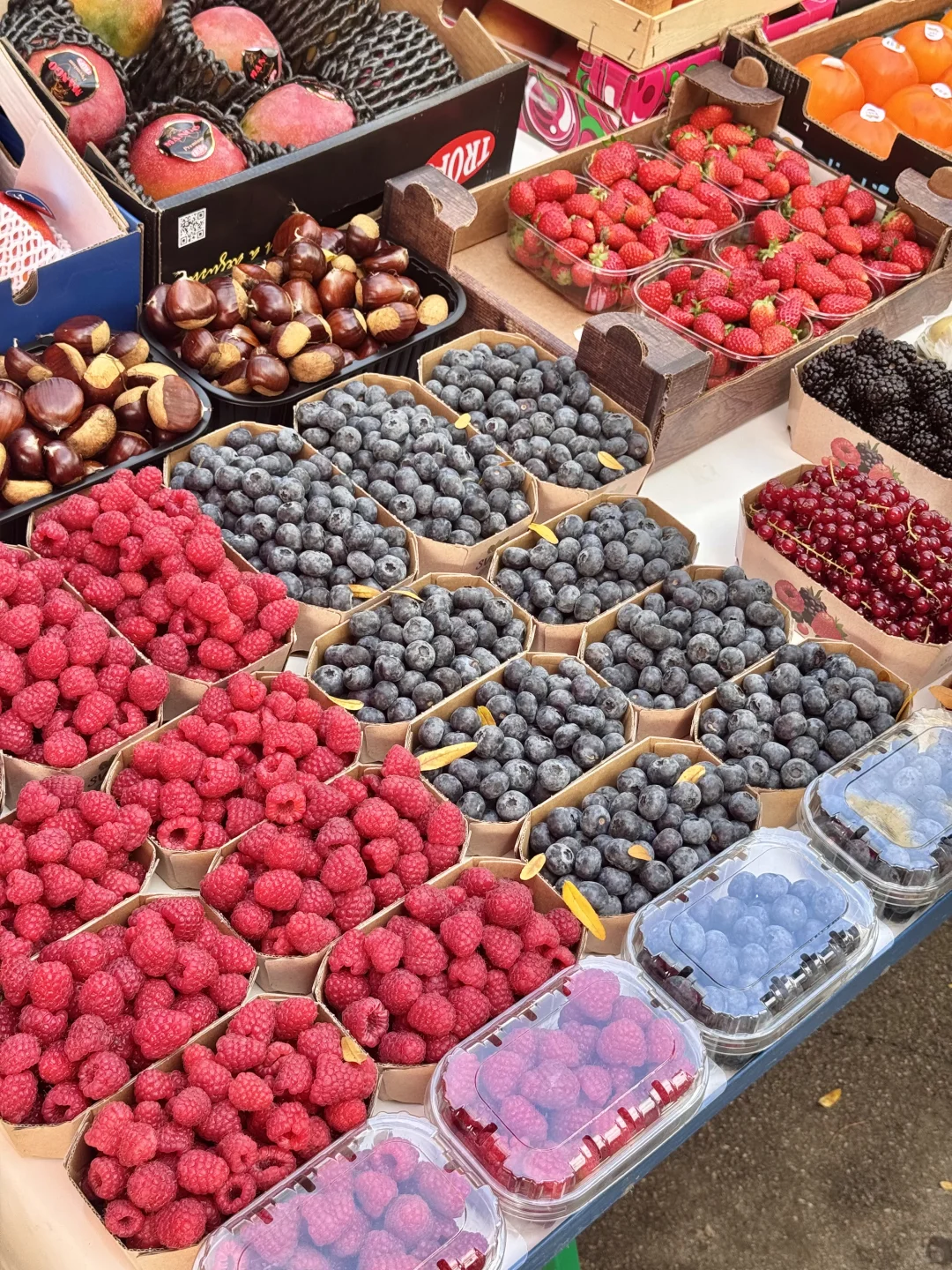 地球上怎么有人能这么幸福……