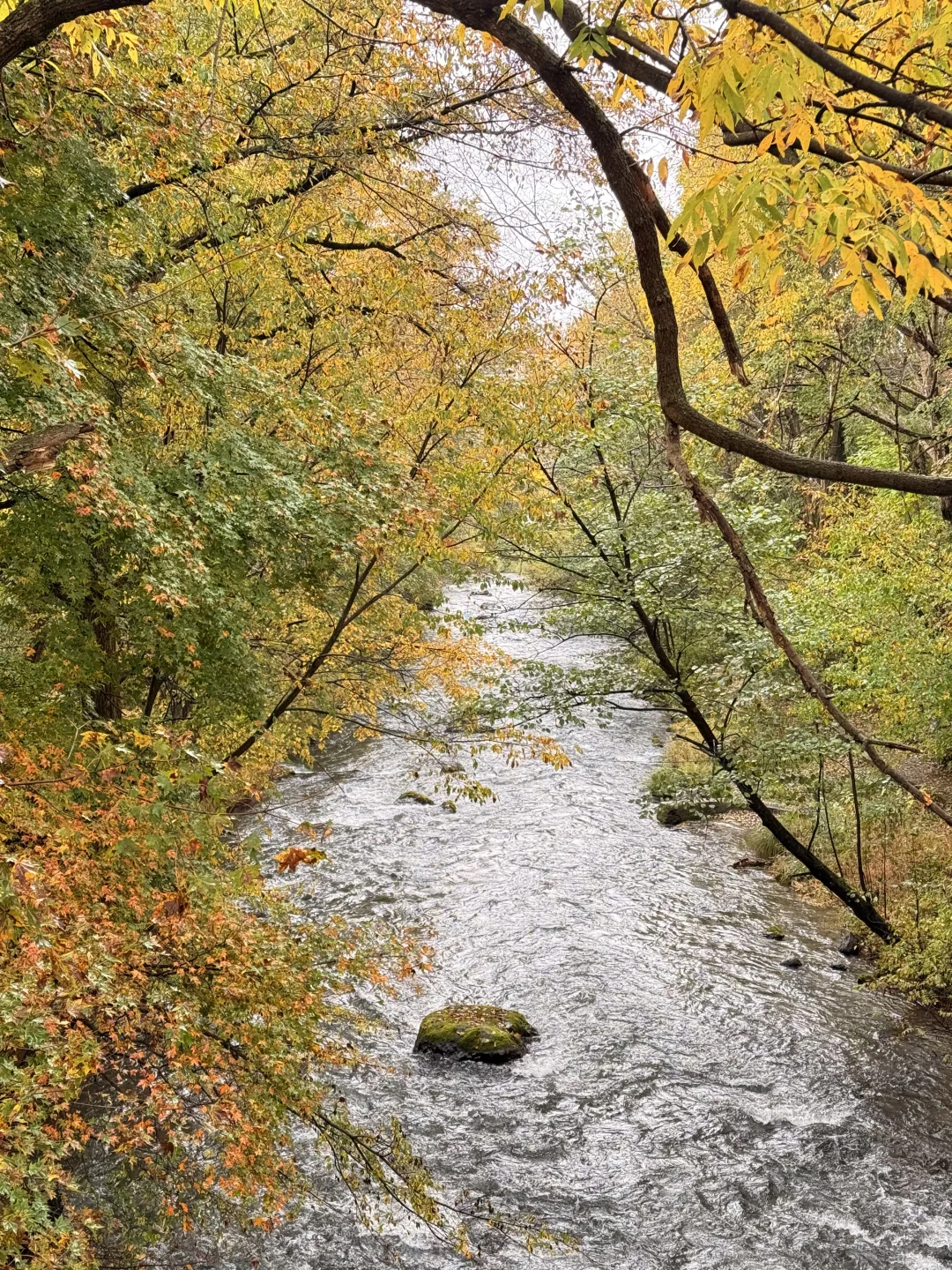 📍长白山｜二道白河 秋色正浓～
