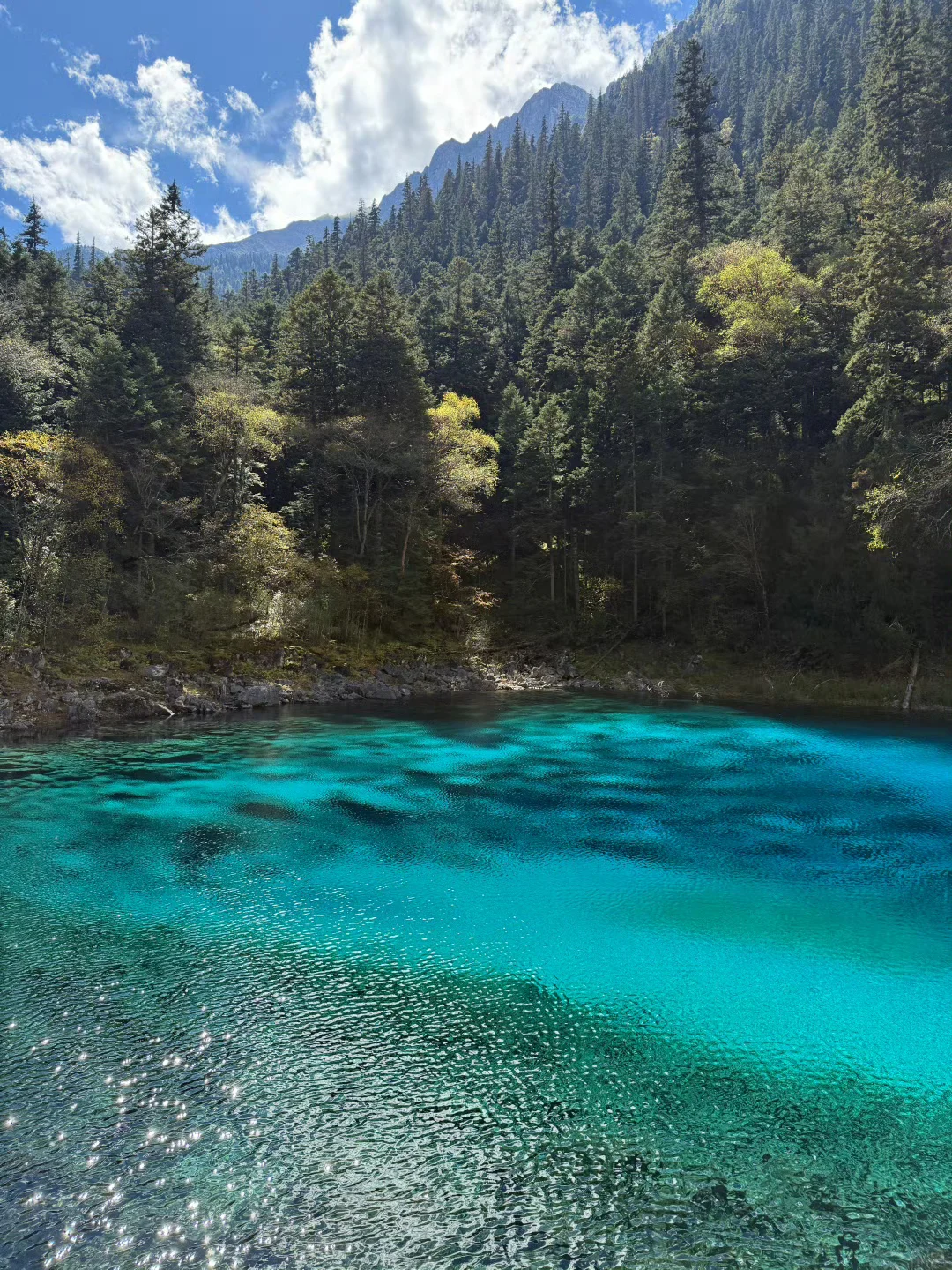 10.15📍九寨沟已遭罪，不要太离谱了。。