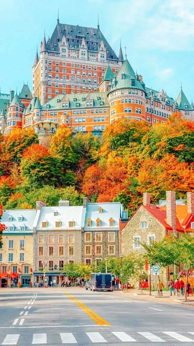 用满屏照片打开秋天的期待🍁🌰🧋…