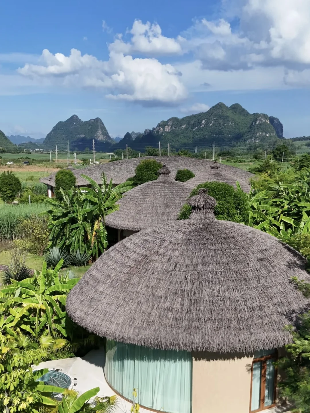 放弃三亚了，带娃去22℃的涠洲岛追鲸鱼啦~