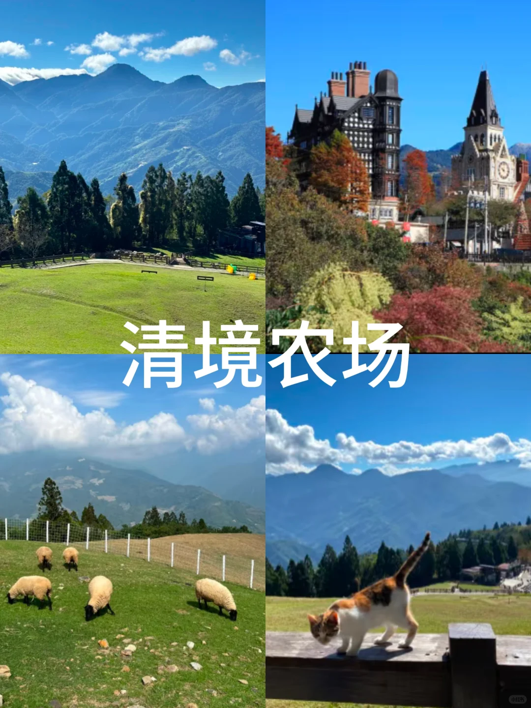 你一定要去的台湾8大打卡地❗️