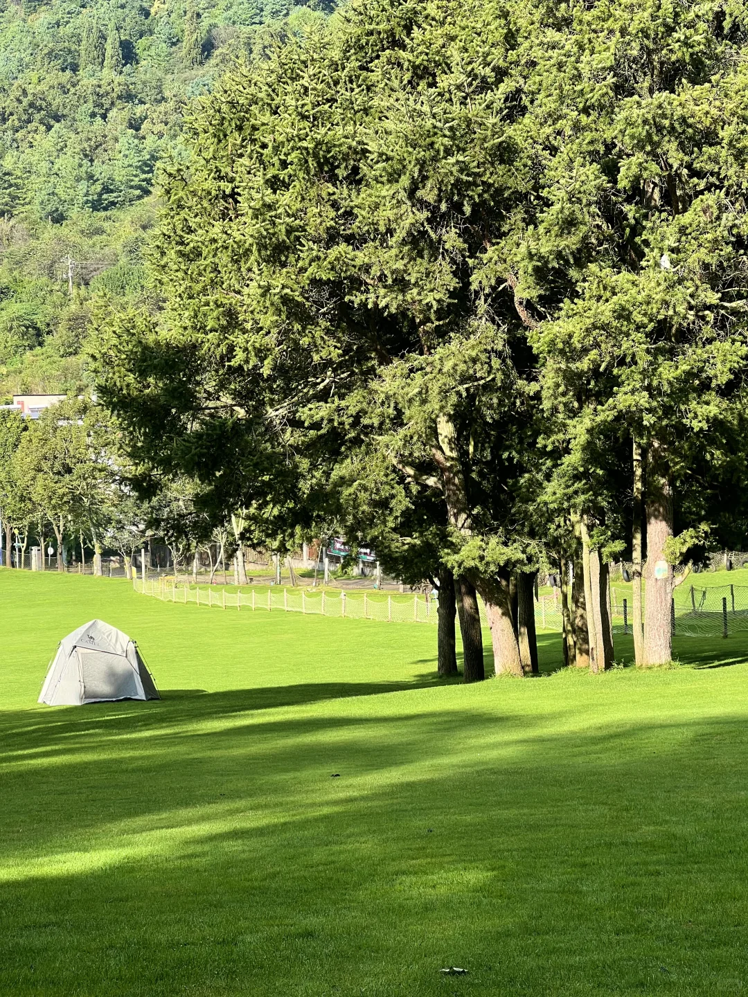 昆明40分钟,好像出国了一样,美哭了😭😭