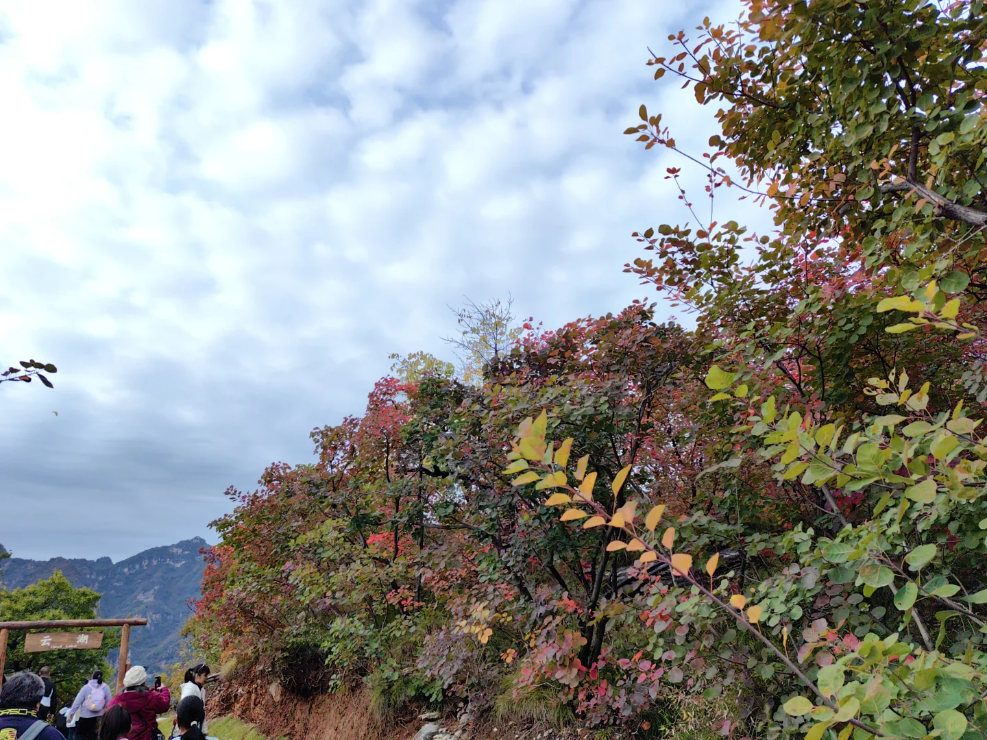 10月18日的坡峰岭红叶