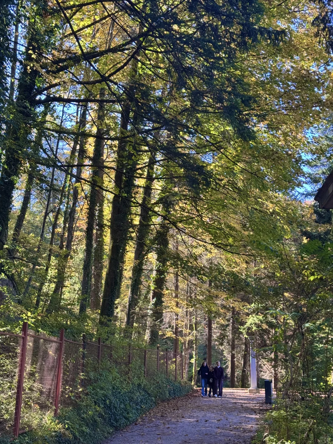 地球上怎么有人能这么幸福……