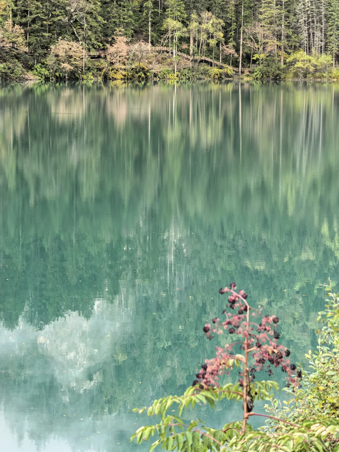 人间仙境名不虚传