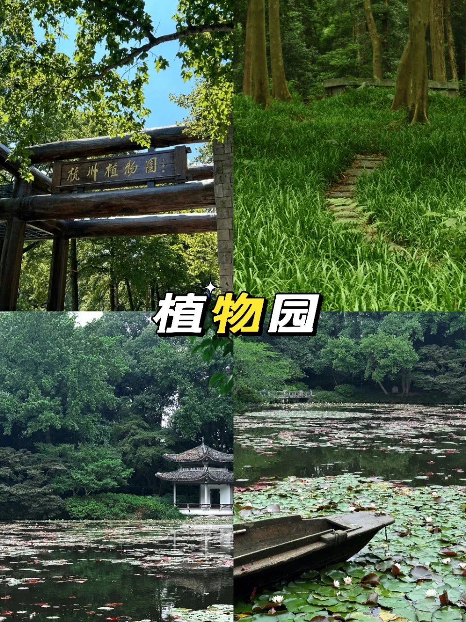杭州📍三天两夜保姆级旅游攻略✨超详细