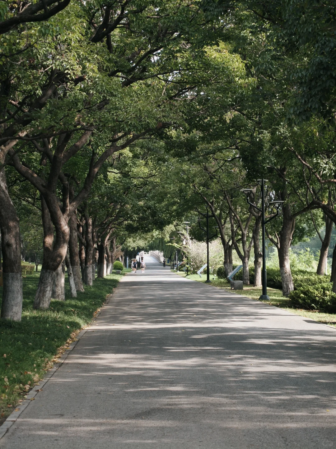 石湖真的是一个巨大的能量场