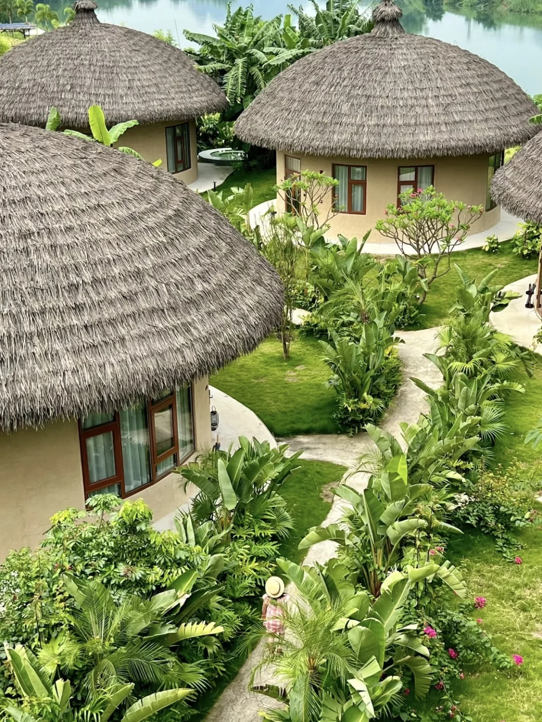 放弃三亚了，带娃去22℃的涠洲岛追鲸鱼啦~