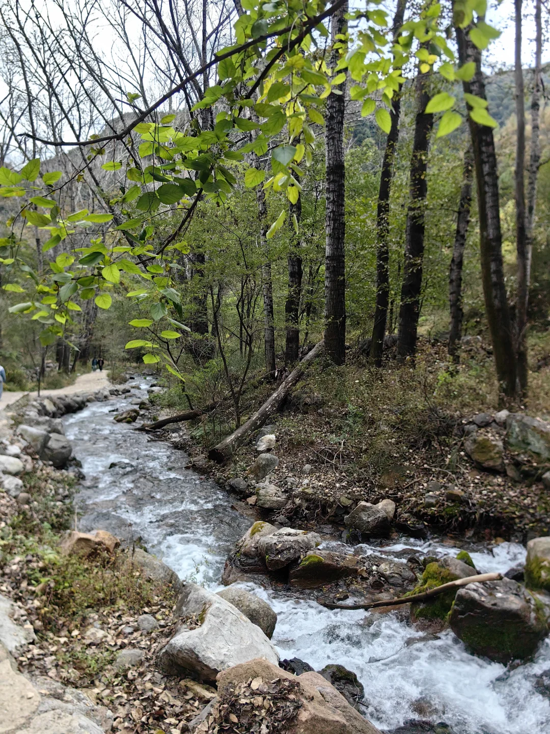 十一最冷清的4A级景区