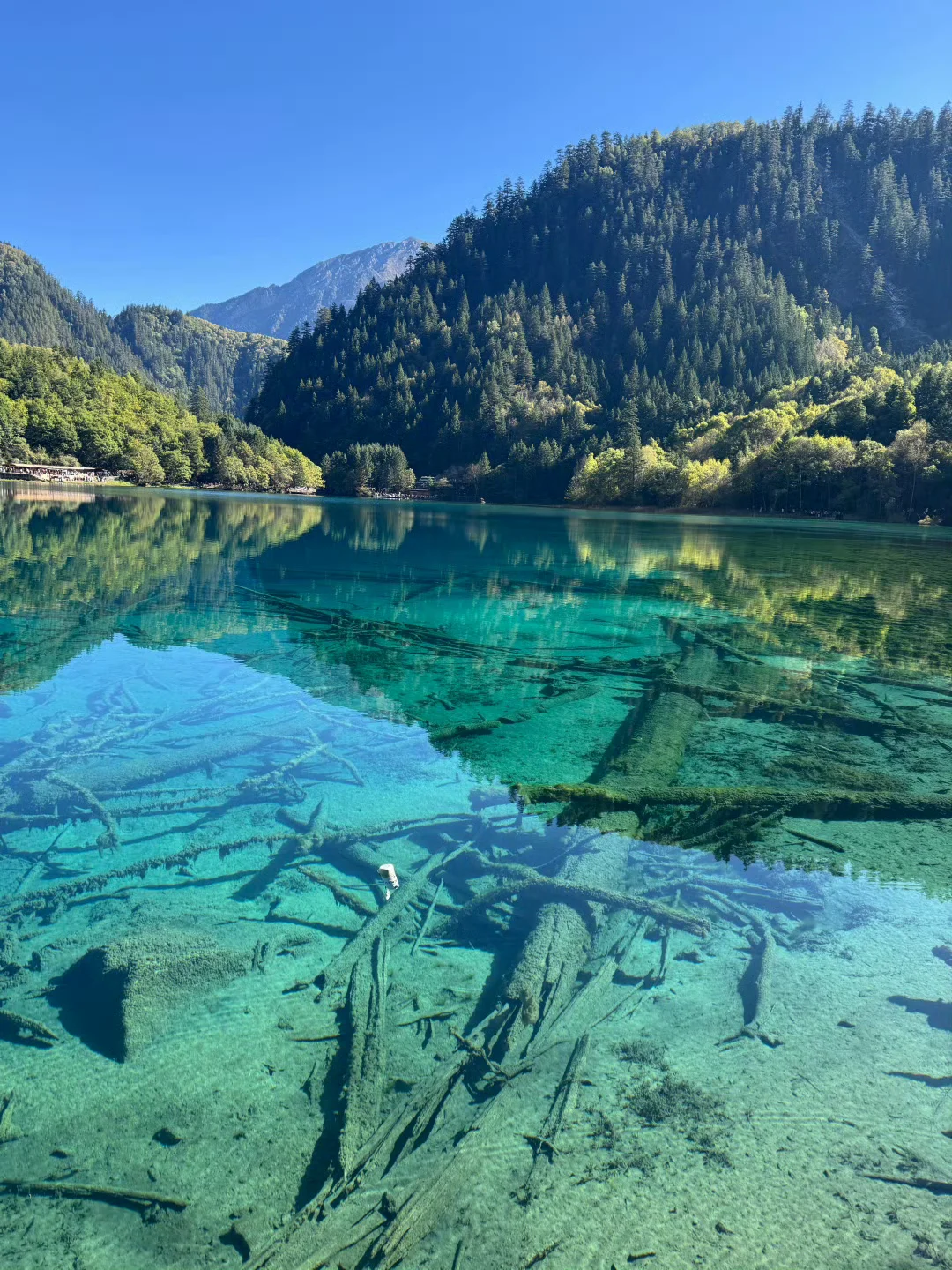 10.15📍九寨沟已遭罪，不要太离谱了。。