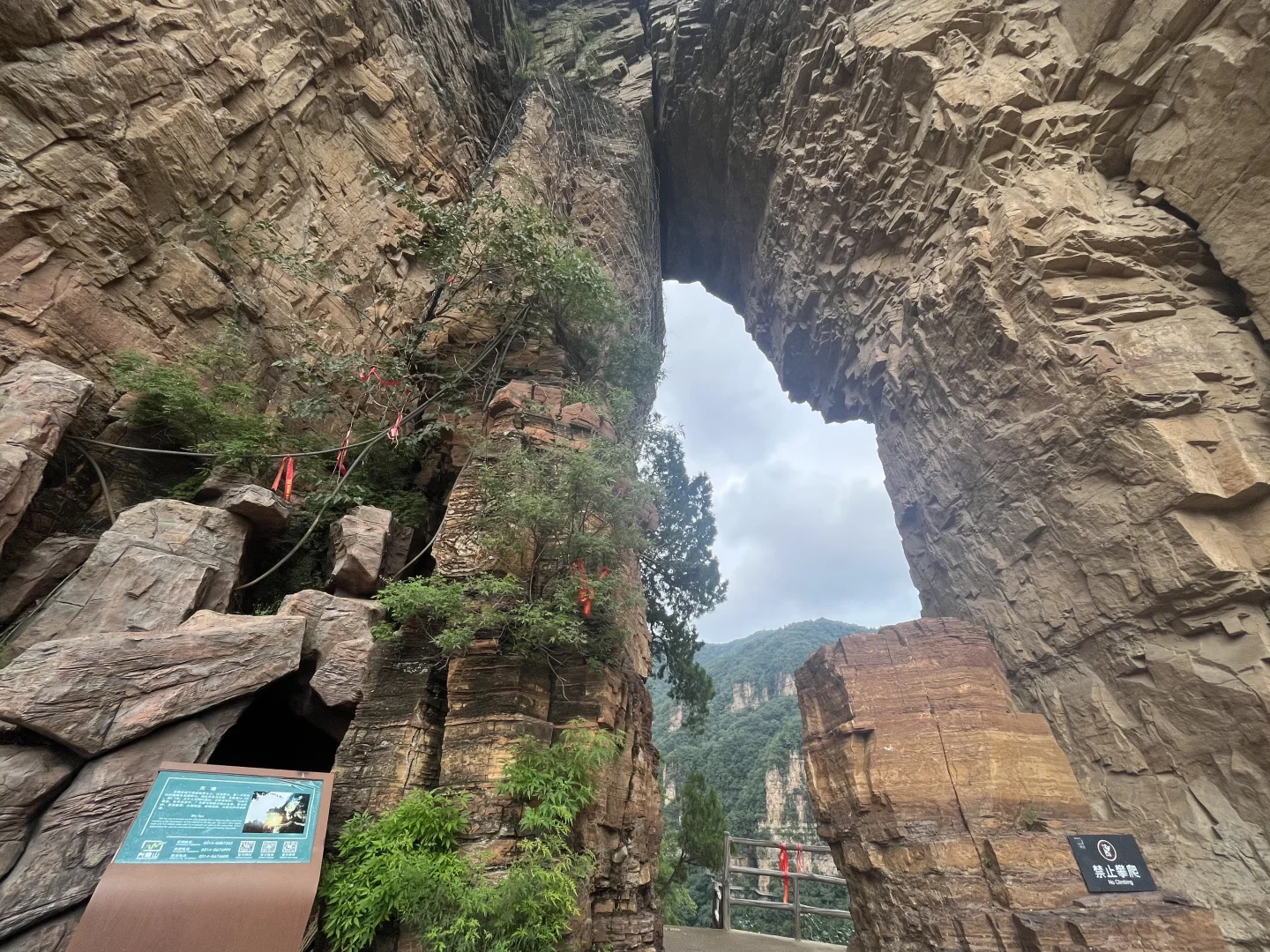 全自动爬山的快乐～承德兴隆山⛰️