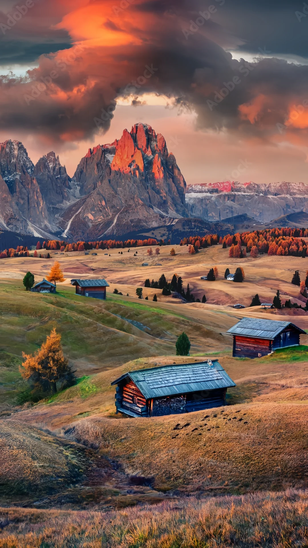 用满屏照片打开秋天的期待🍁🌰🧋…