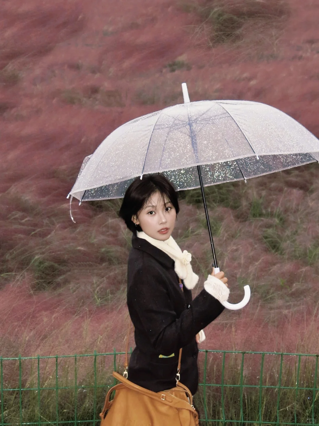 千万不要错过邯郸粉黛❗阴天都美到犯规❗❗