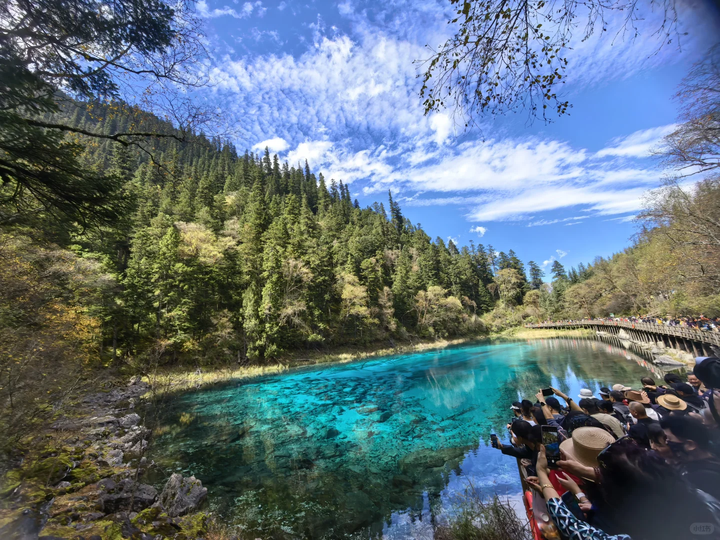 人间仙境名不虚传