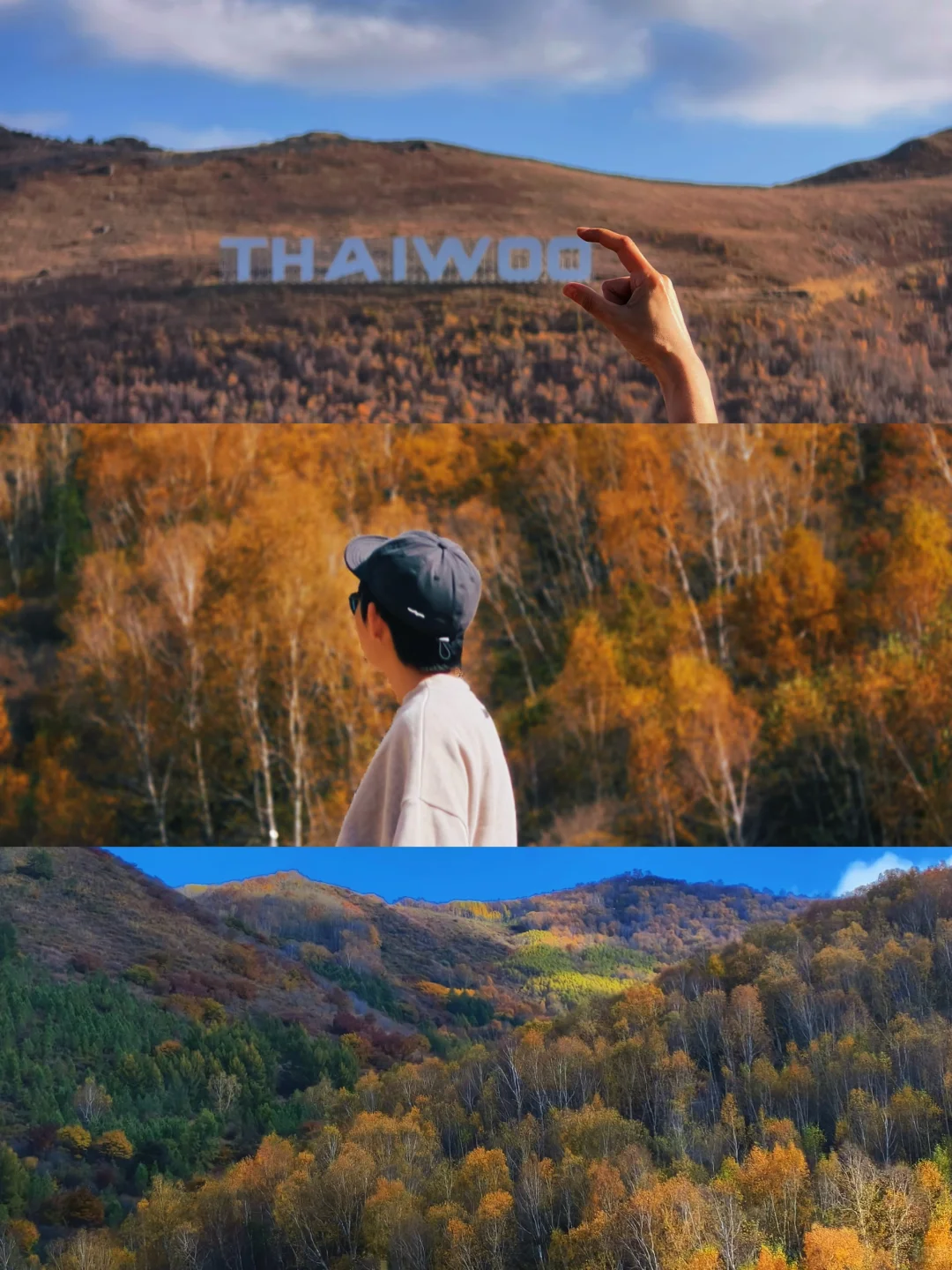 10.4崇礼太舞｜自驾2h追一场最绚烂的秋日