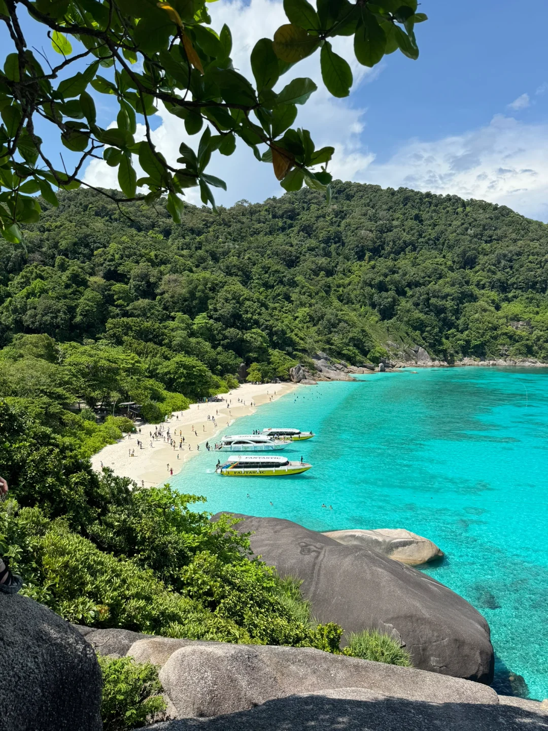 普吉一个松弛感拉满的地方🫧🐬🏝️