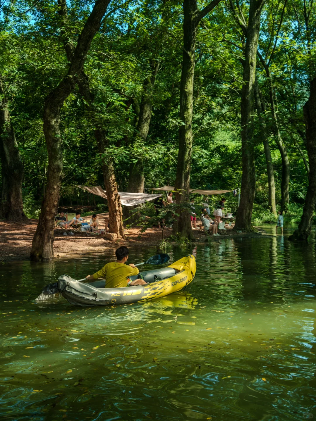 河南真正的绿野仙踪🌲好治愈