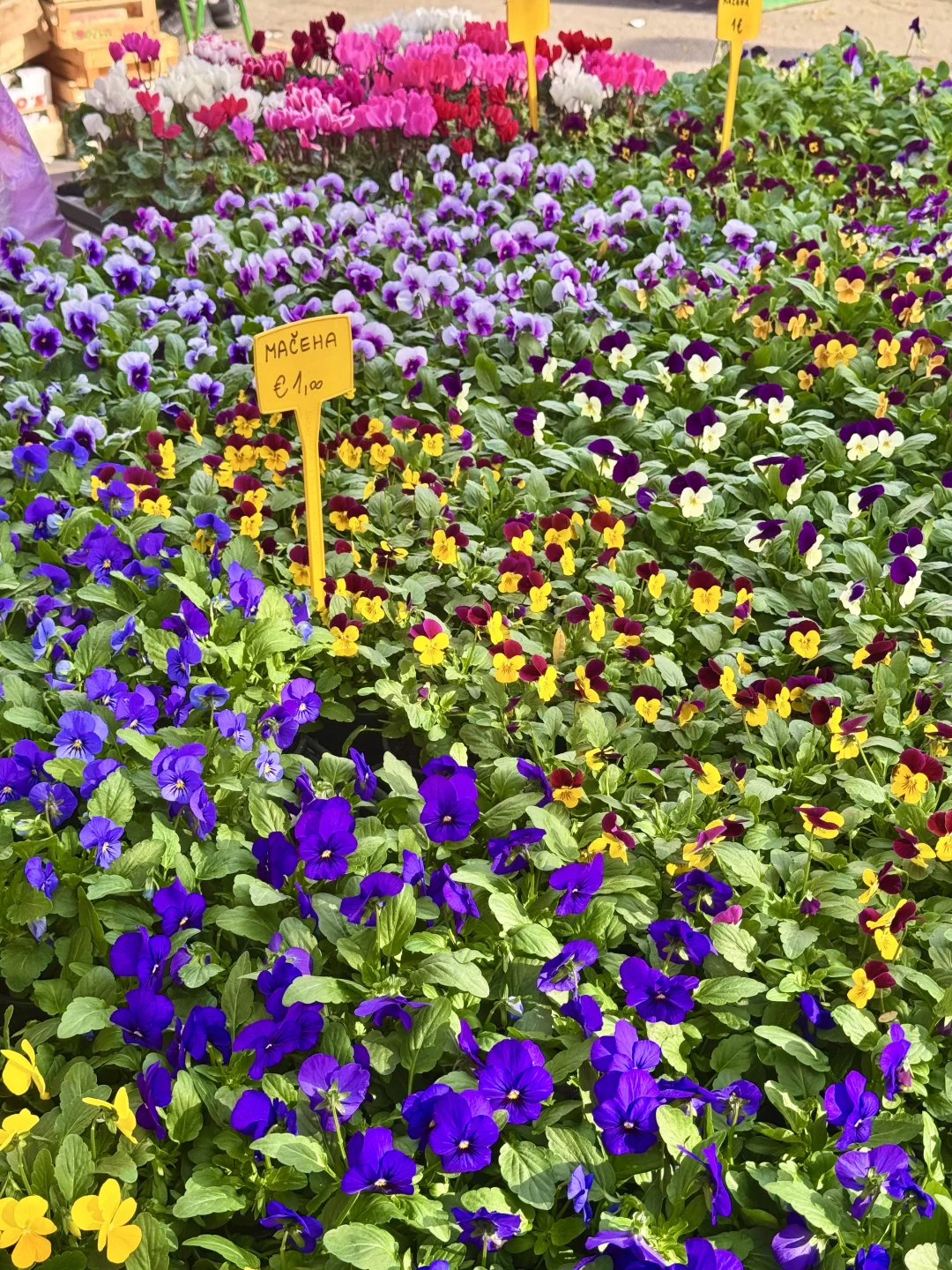 地球上怎么有人能这么幸福……