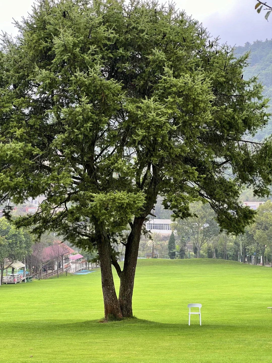 昆明40分钟,好像出国了一样,美哭了😭😭