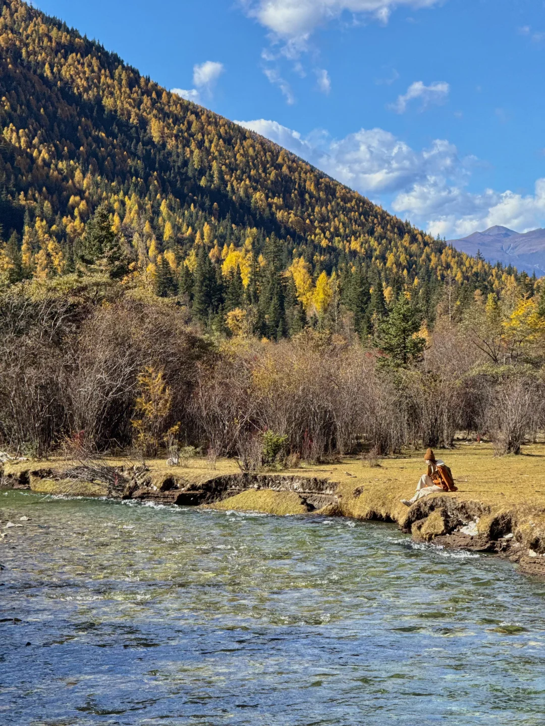 在川西拍到了我的人生live!🍁