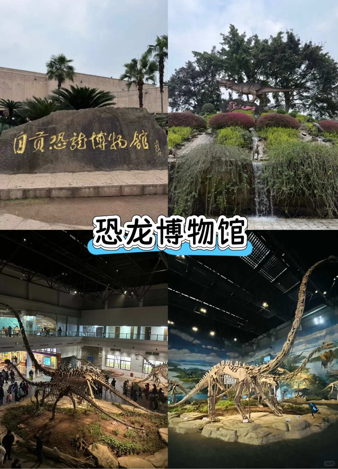 自贡必去八个景点‼️‼️