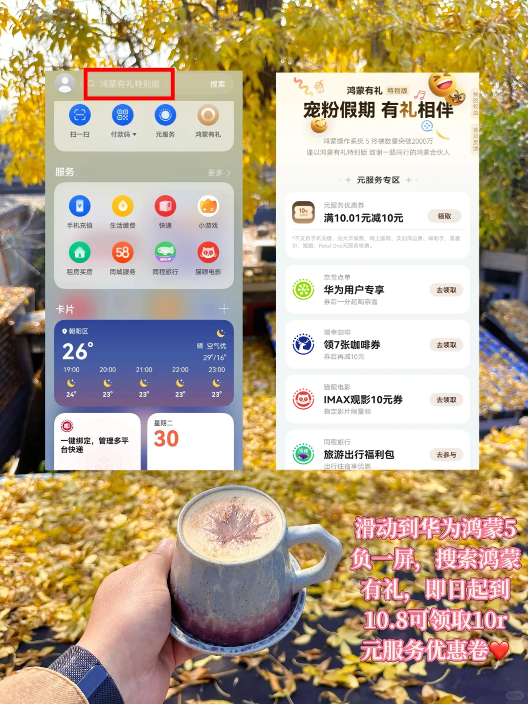 北京的秋天不这样玩儿等于白来！美到窒息！