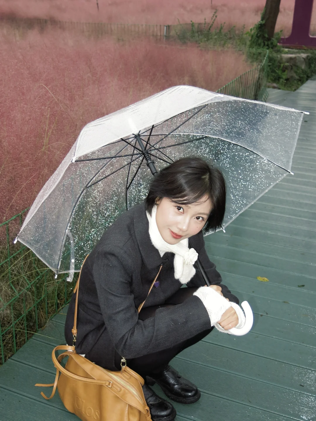 千万不要错过邯郸粉黛❗阴天都美到犯规❗❗