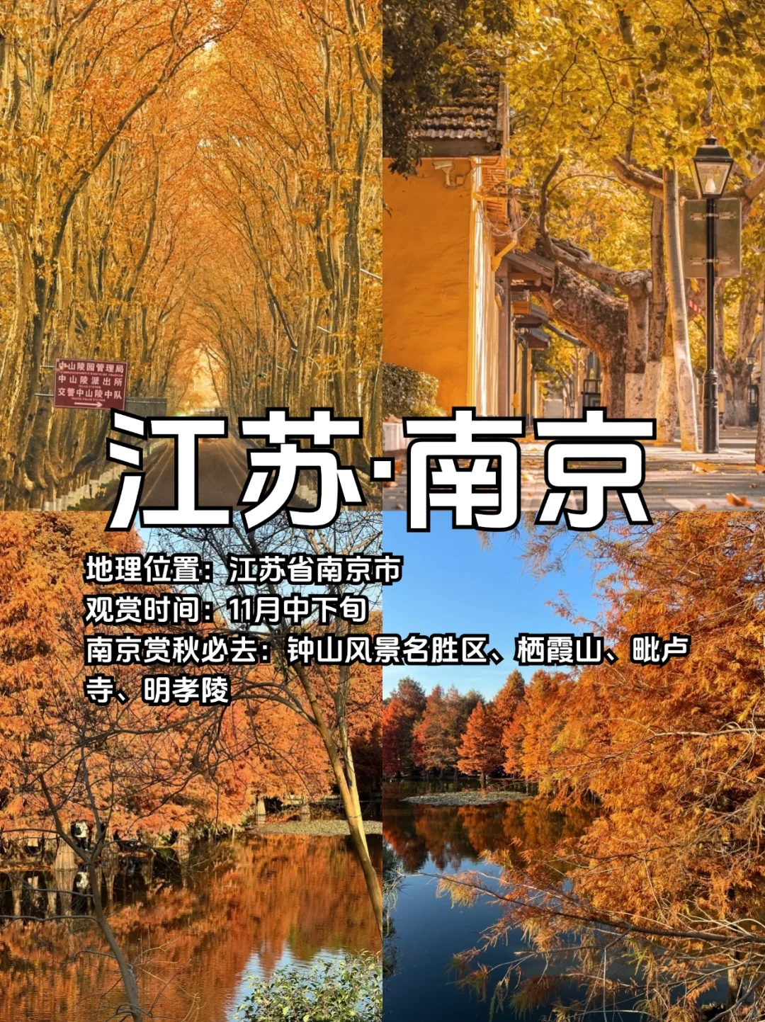 适合10、11月去赏秋的10个城市合集🍁