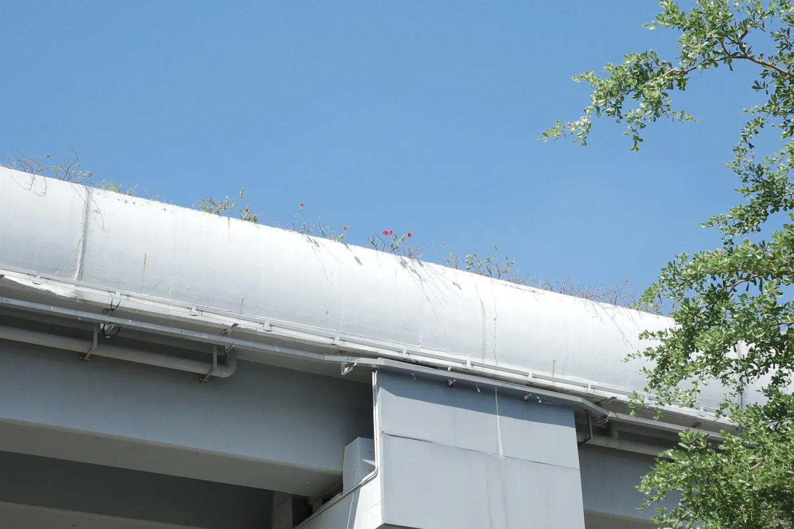 旅游只带GR，这个参数好胶片啊！